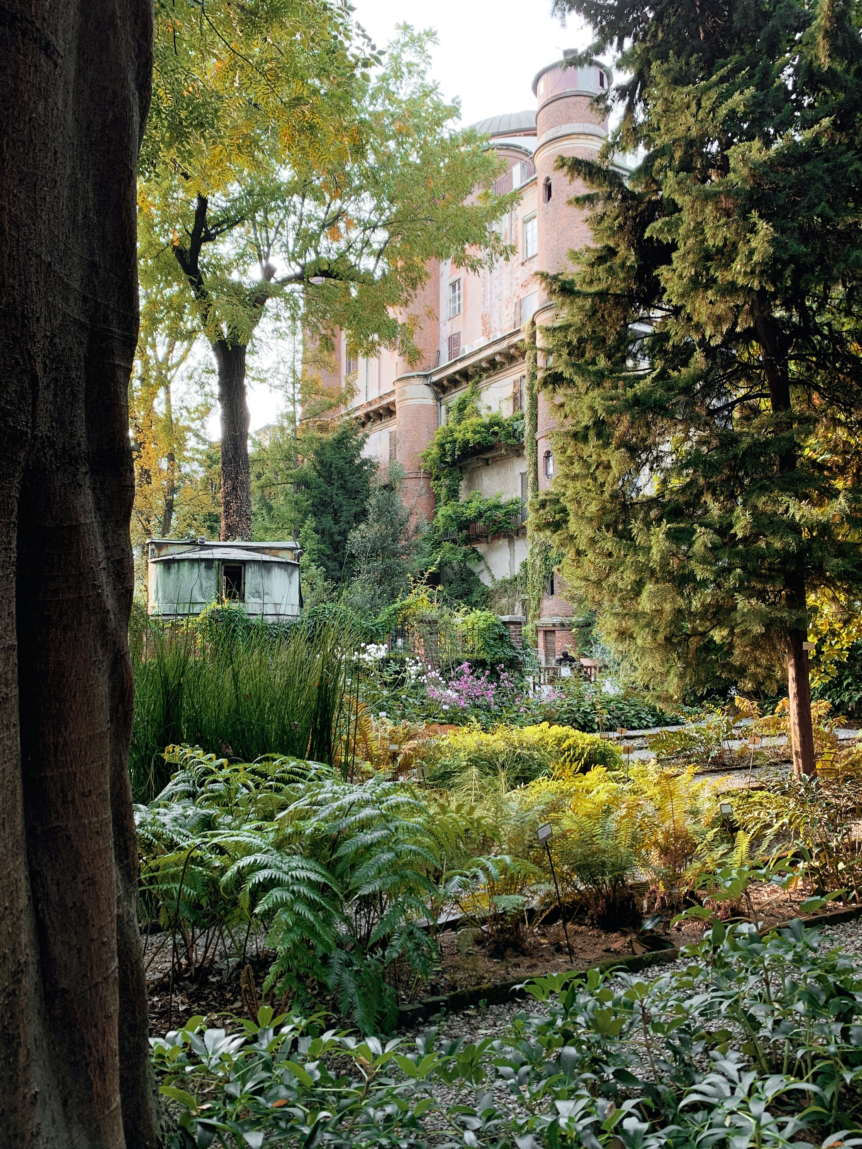 green plants and trees near brown concrete building during daytime